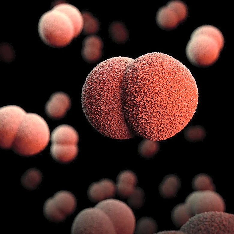 Argentine Research Identifies Virus as Predictor for Kidney Transplant Complications