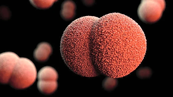 Argentine Research Identifies Virus as Predictor for Kidney Transplant Complications