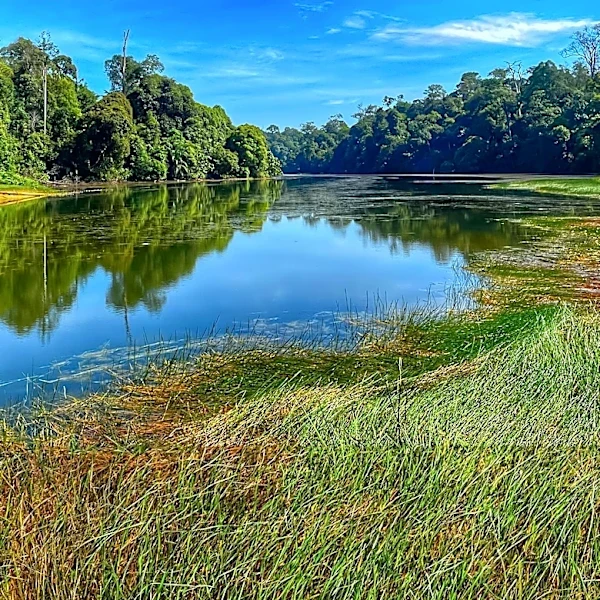 Tuckahoe State Park in Maryland Offers Scenic Wetlands, Trails, and Lake Fishing