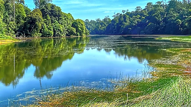 Tuckahoe State Park in Maryland Offers Scenic Wetlands, Trails, and Lake Fishing