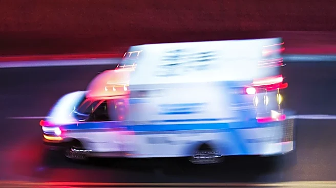 Crossing Guard Seriously Injured After Being Struck by Vehicle in Orange Park, Florida