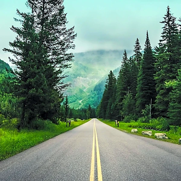 Trump Administration Moves to Repeal 'Roadless Rule' for National Forests, Sparking Environmental Concerns