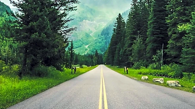 Trump Administration Moves to Repeal 'Roadless Rule' for National Forests, Sparking Environmental Concerns