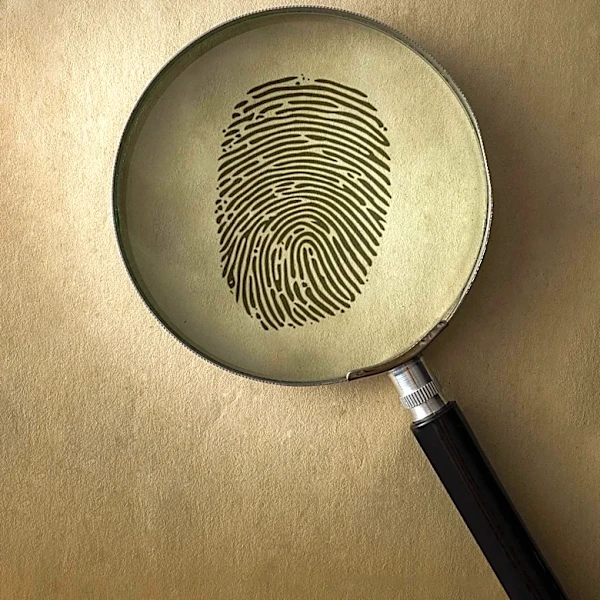 Lisa Demuth Unveils Plan to Combat Fraud in Minnesota's Department of Human Services