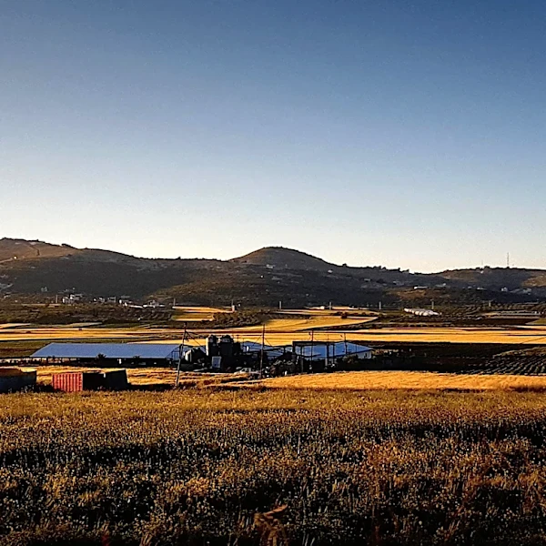 Johnson County, Wyoming, Announces 2026 Primary Election Results