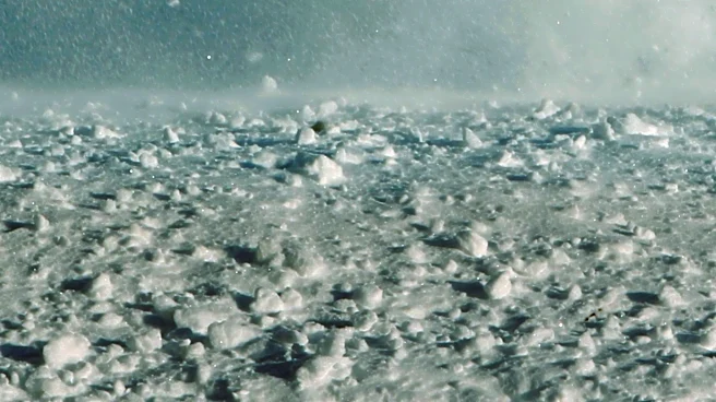 NOAA Predicts Historically Strong El Niño, Potentially Impacting Illinois Winter Snowfall