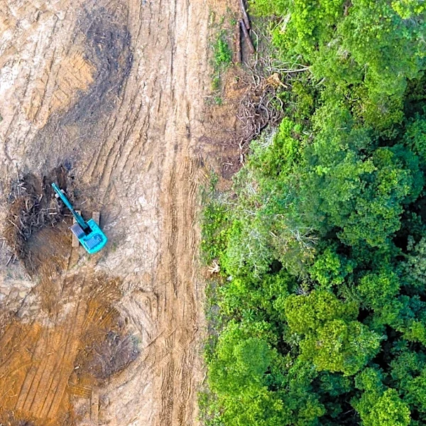 Satellite Data Indicates Rise in Amazon Deforestation in Brazil