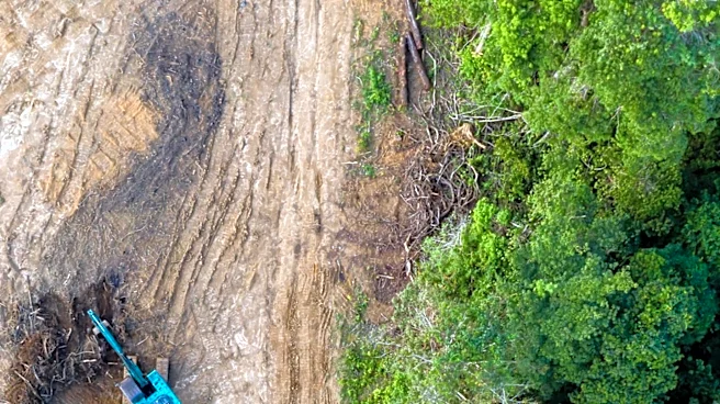Satellite Data Indicates Rise in Amazon Deforestation in Brazil