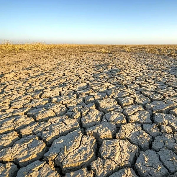 USDA Extends Emergency Loans to Drought-Impacted Counties in Kentucky, Indiana, Tennessee, and Virginia