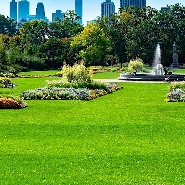 Chicago Experiences Unusually Wet and Humid Summer, Impacting Outdoor Activities and Businesses