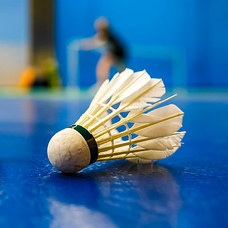 Family of 6-Year-Old New Jersey Girl Sues Racket Maker After Fatal Badminton Accident in Maine