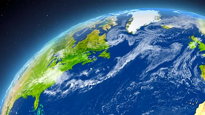 Non-Aligned Movement's Diminished Relevance in a Multipolar World
