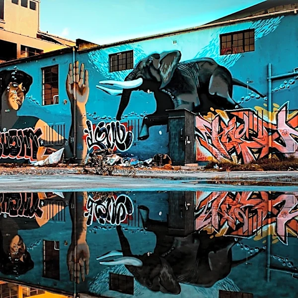 Graffiti Artist 'ATOMIK' Arrested for Vandalism at Miami Seaquarium