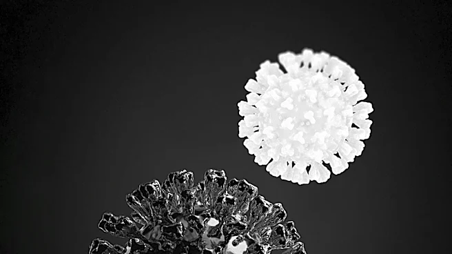 Fauci's Former Senior Advisor Pleads Guilty to Evading Open Records Requests Related to Coronavirus Research