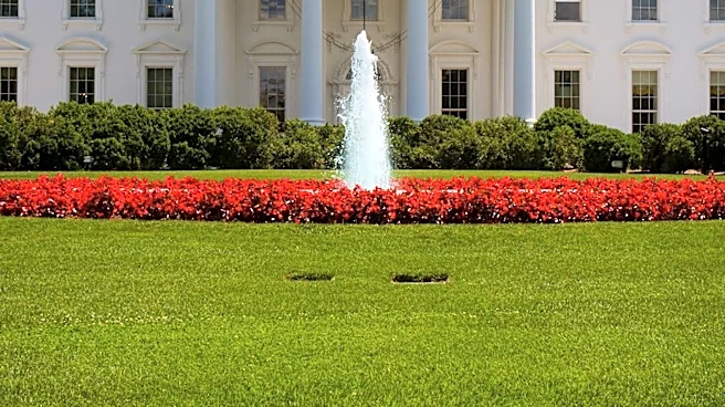 President Trump's Aide Natalie Harp Operated Without Routine Security Clearance for Over a Year