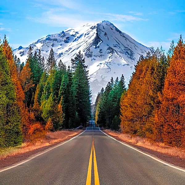 Trump Administration Advances Plan to End Roadless Rule on National Forests, Including Oregon
