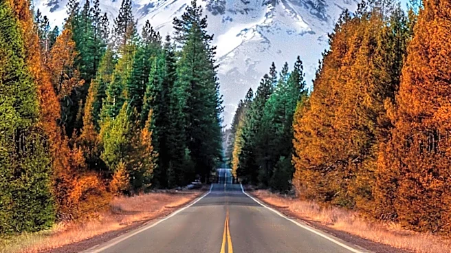 Trump Administration Advances Plan to End Roadless Rule on National Forests, Including Oregon