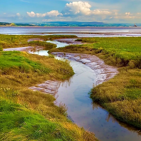 Arcata Secures Over Half a Million Dollars for Jolly Giant Creek Restoration and Climate Change Adaptation