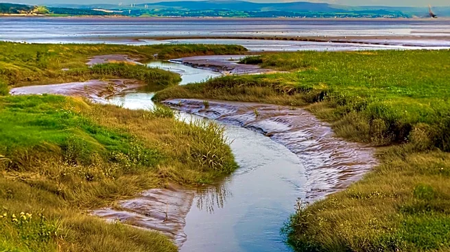 Arcata Secures Over Half a Million Dollars for Jolly Giant Creek Restoration and Climate Change Adaptation