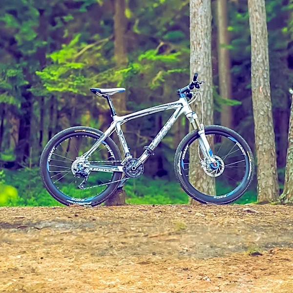 Vermont Imposes $35,000 Settlement for Illegal Mountain Bike Trail Construction in State Forest