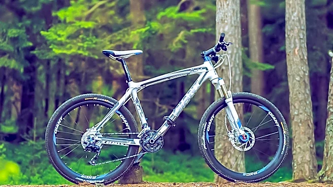 Vermont Imposes $35,000 Settlement for Illegal Mountain Bike Trail Construction in State Forest