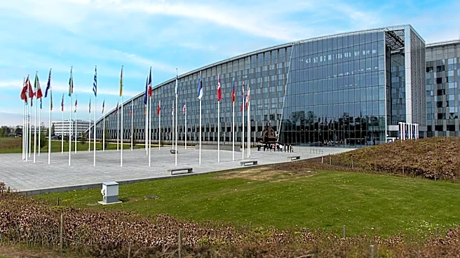 Pentagon Quizzes NATO Allies on Political Loyalty and U.S. Policy Alignment