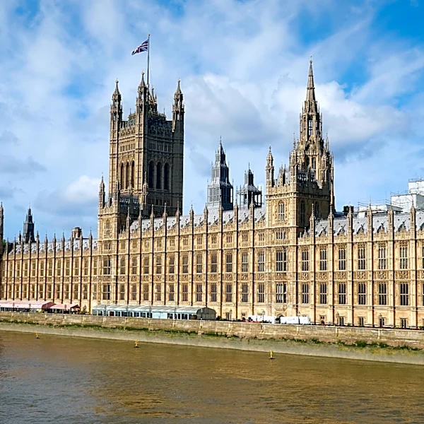 Nigel Farage's Enduring Presence in British Politics Examined