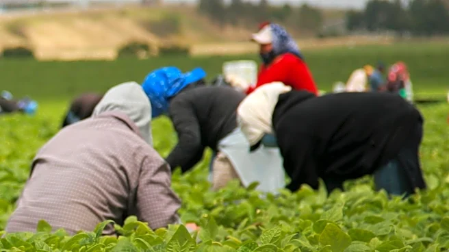 U.S. Food System Relies on Transnational Labor, Exposing Migrant Workers to Health Risks and Economic Inequity