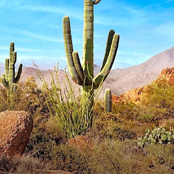Animal Planet Star Ed Cassano Dies in Arizona Hit-and-Run While Observing Snake