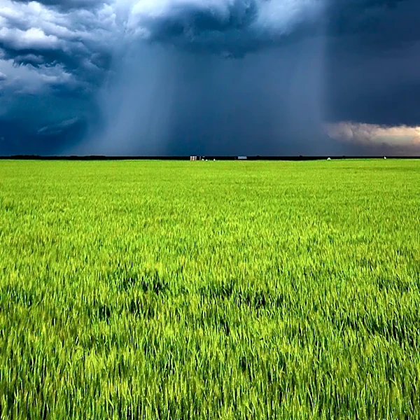 North Dakota Prepares for Showers and Isolated Storms Wednesday Night into Thursday Morning