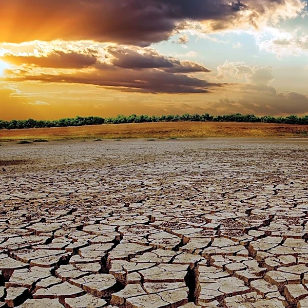 New Global Extreme Weather and Climate Change Dashboard Launched