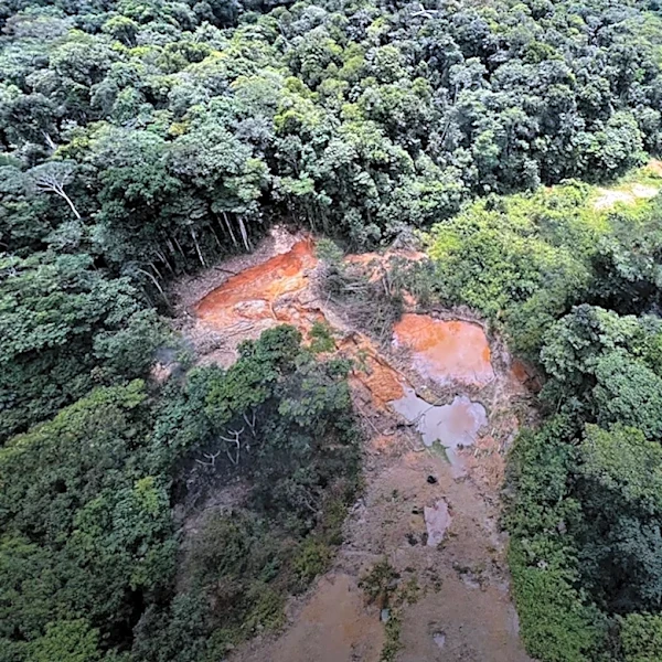 Guatemala Ends Decades of Oil Exploitation in Laguna del Tigre National Park