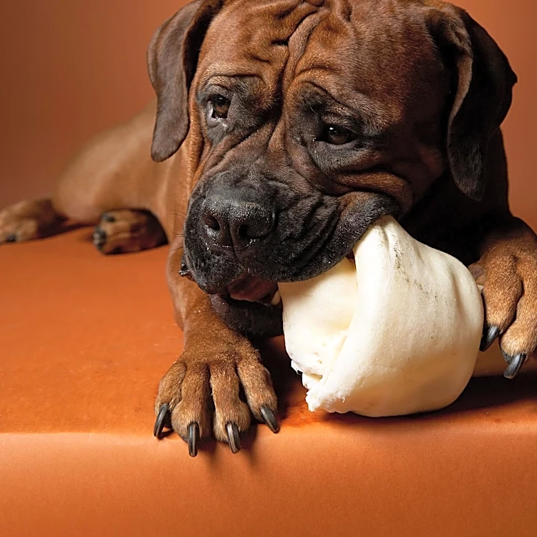 Oma's Pride Recalls Raw Dog Food Due to Salmonella Contamination, Three Illnesses Reported