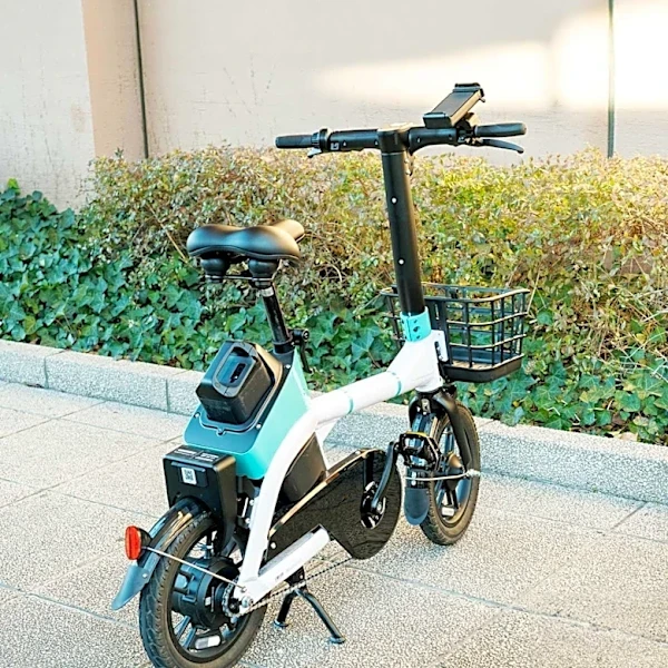 Mount Pleasant Police Arrest Man for Allegedly Assaulting Juvenile on E-Bike