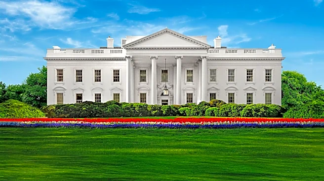 Conservative Activist Laura Loomer Alleges Internal White House Leaks Against Natalie Harp Due to Jealousy