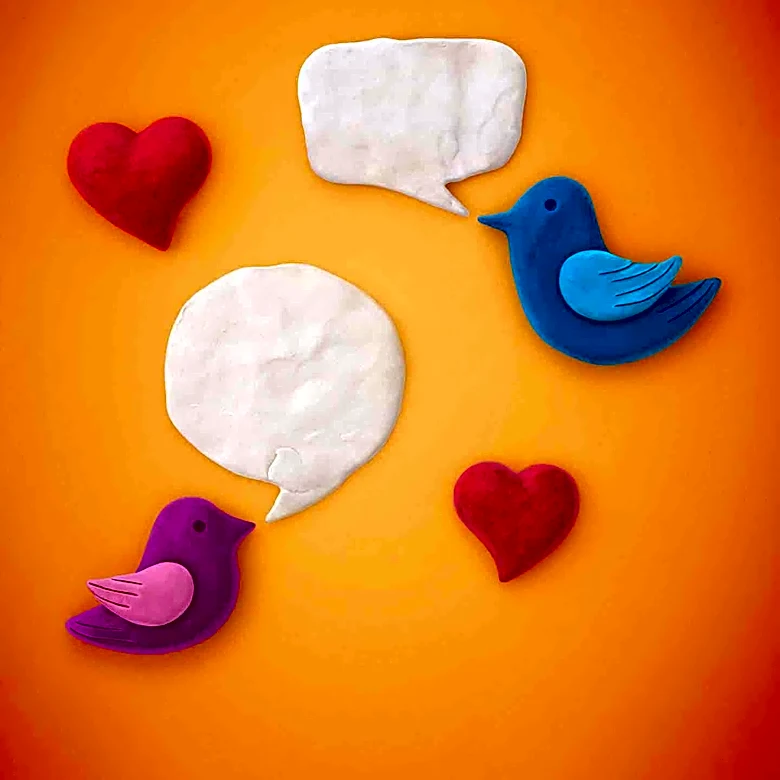 New Messaging Apps 'Roost Social' and 'Carrier Pidge' Offer Slower, Bird-Paced Communication