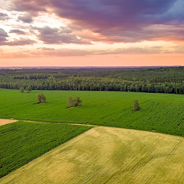 St. Johns County Approves Development of Over 1,000 Acres of Agricultural Land