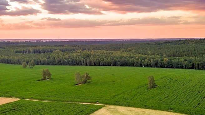 St. Johns County Approves Development of Over 1,000 Acres of Agricultural Land