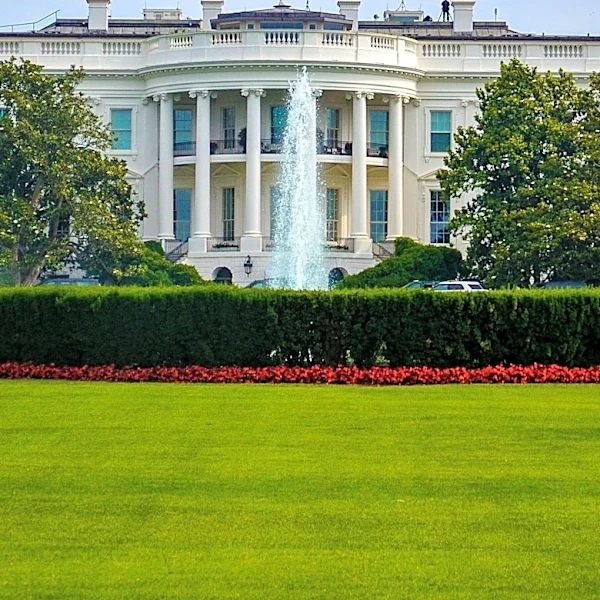 White House Aide Natalie Harp Gains Prominence Amidst Political Scrutiny and Loyalty to President Trump