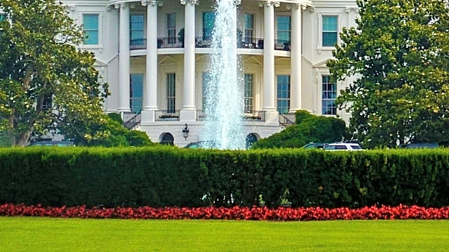 White House Aide Natalie Harp Gains Prominence Amidst Political Scrutiny and Loyalty to President Trump