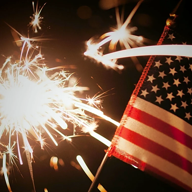 Lyons Library Official Detained at July 4 Event; Video Footage at Issue