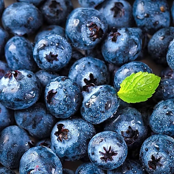 FDA Elevates GreenWise Blueberry Recall to Highest Risk Level Amid E. coli Outbreak