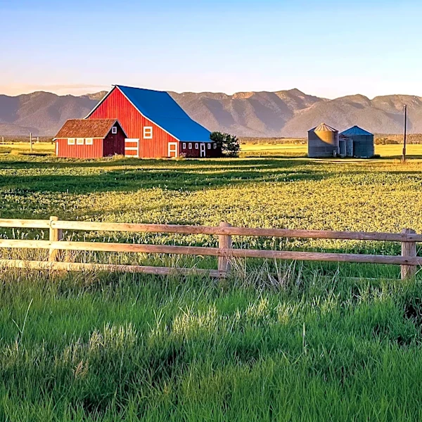 Governor Gianforte Celebrates Opening of New Multi-Use Agricultural Facility in Montana