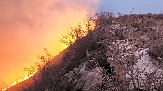 Boulder Residents Issued Evacuation Warnings Due to Wildfire Near Eben G. Fine Park