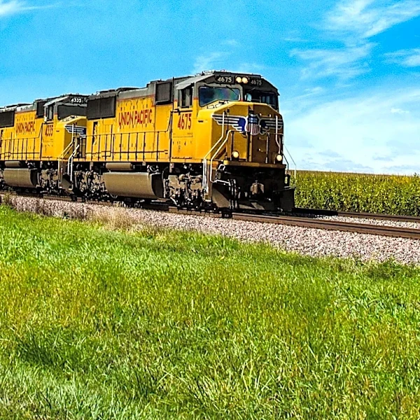 Texas Woman Surrenders in Union Pacific Rail-Container Smuggling Case After Seven Migrant Deaths