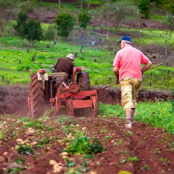 Argentine Rural Workers Face Decreased Purchasing Power for Food Amidst Economic Adjustments