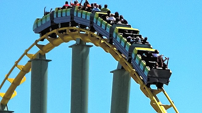 Inglewood Man Arrested for Felony Grand Theft at Six Flags Magic Mountain
