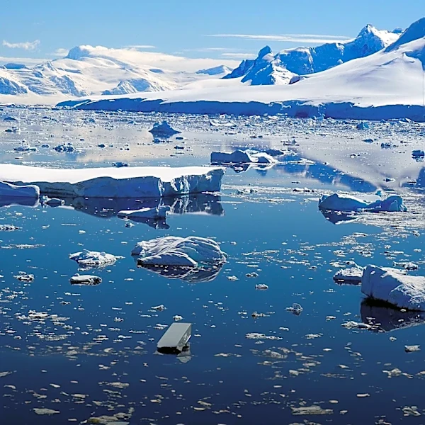 Antarctic Krill Fishery Faces Early Closure as Catch Limit Reached for Second Time