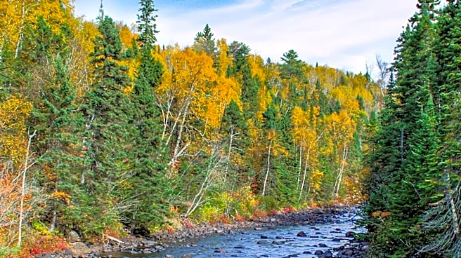Twin Metals Mine Project in Minnesota Faces Opposition Amid Environmental Concerns and Economic Promises