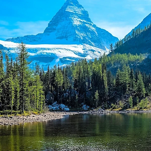 Man Survives 120-Foot Plunge into Creek at Glacier National Park Thanks to Bystander Intervention